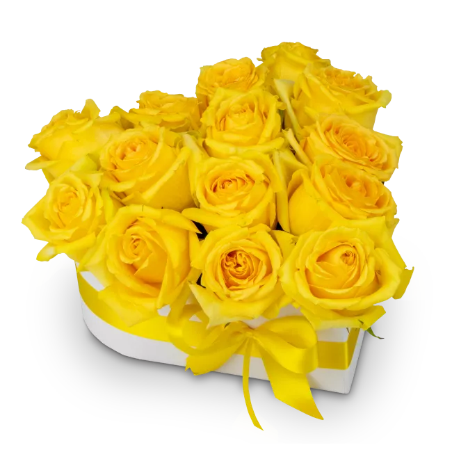 Květinový box růží